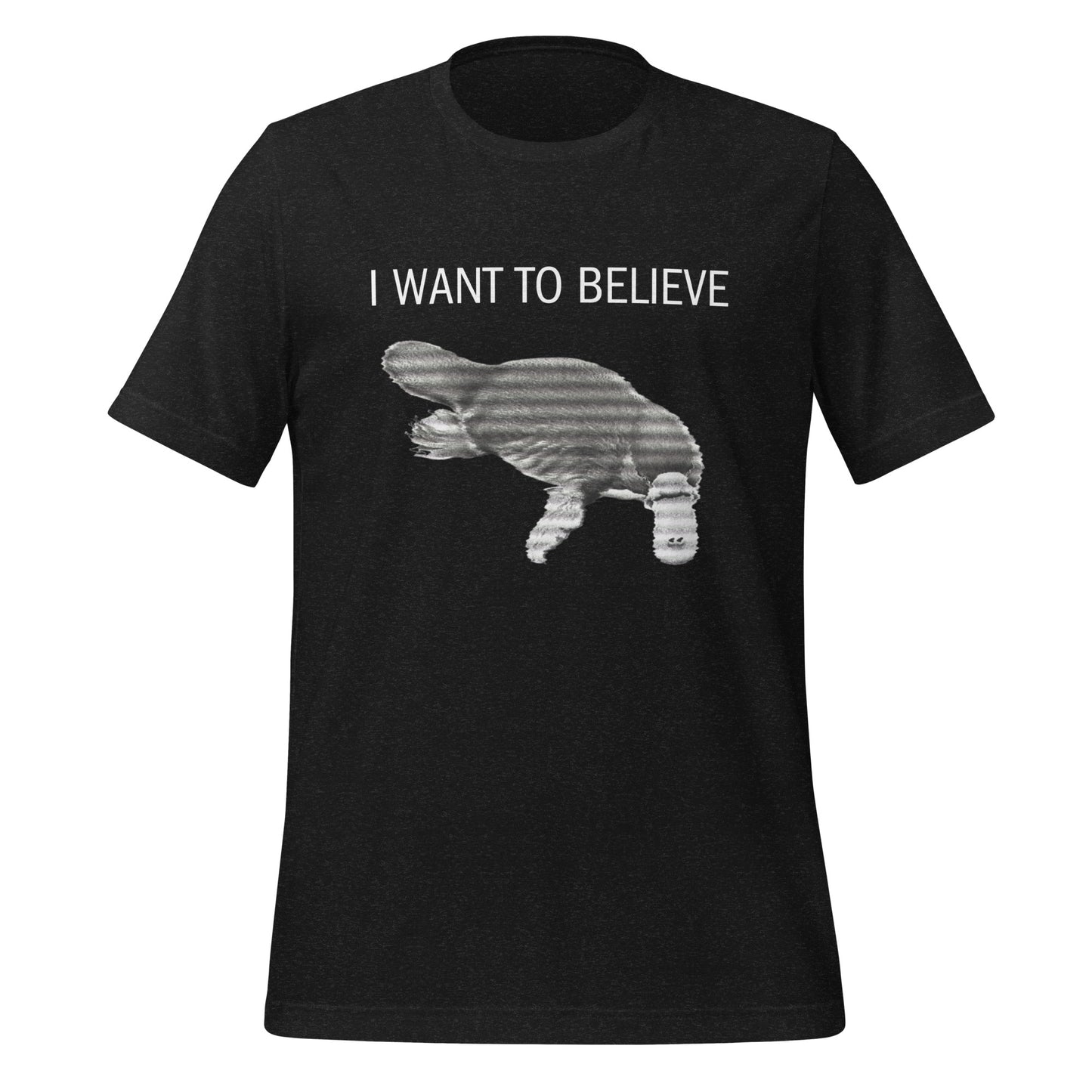 I Want To Believe - Unisex T